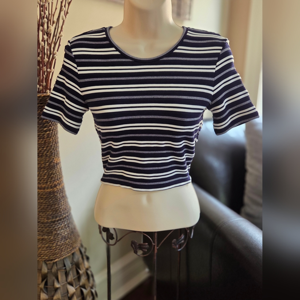 Club Monaco Black and White Striped Crop Top